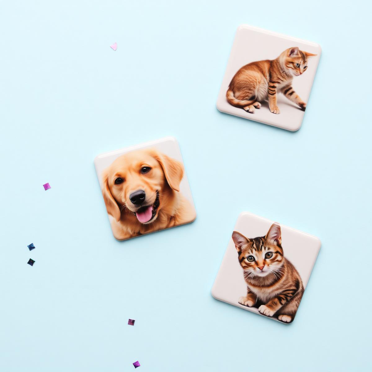 Pet Magnets